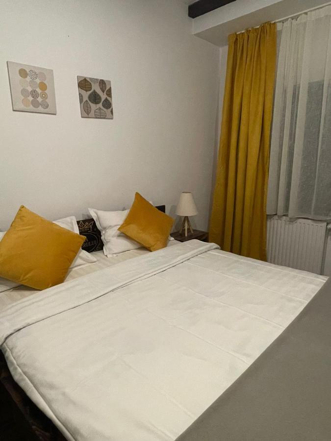 Casa Mesterului Sohodol  エクステリア 写真