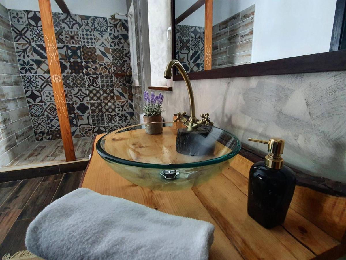 Casa Mesterului Sohodol  エクステリア 写真