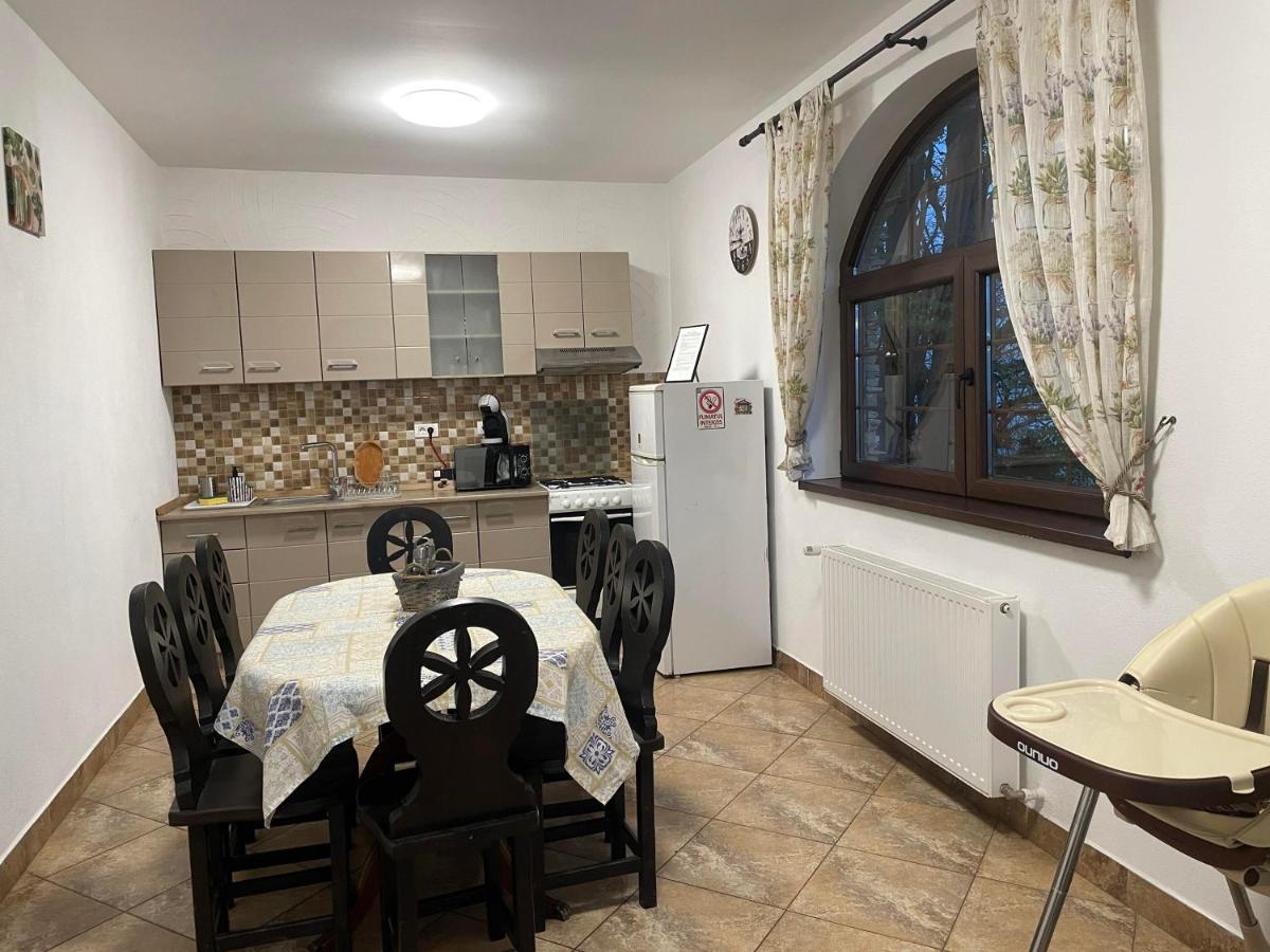 Casa Mesterului Sohodol  エクステリア 写真